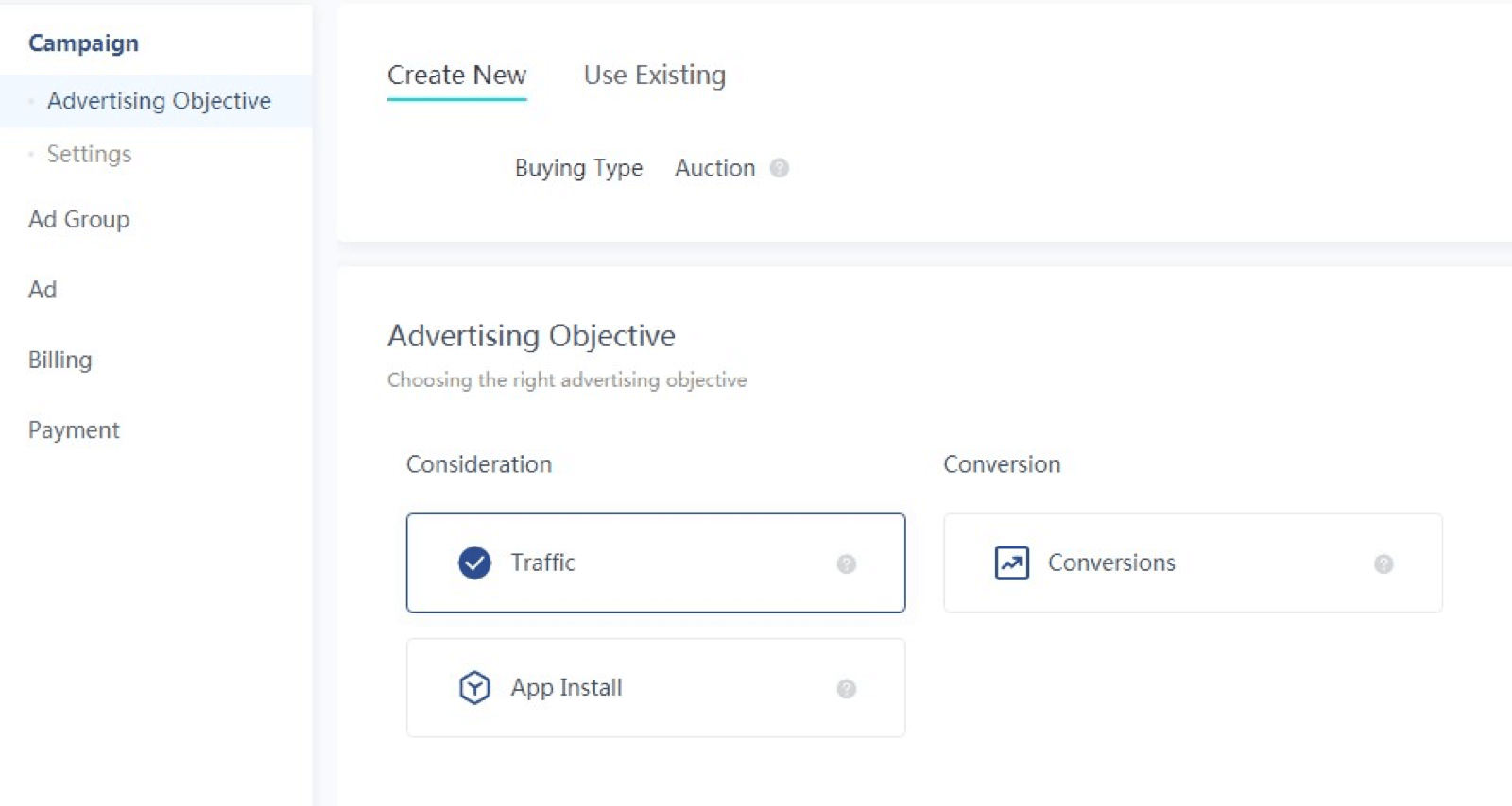 TikTok Advertising Campaign